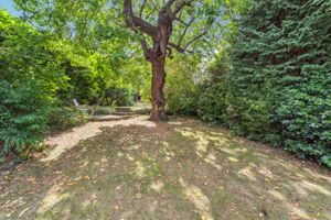 Photo 19- click for photo gallery